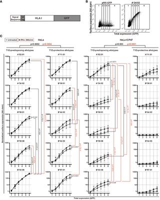 Differences in F pocket impact on HLA I genetic associations with autoimmune diabetes